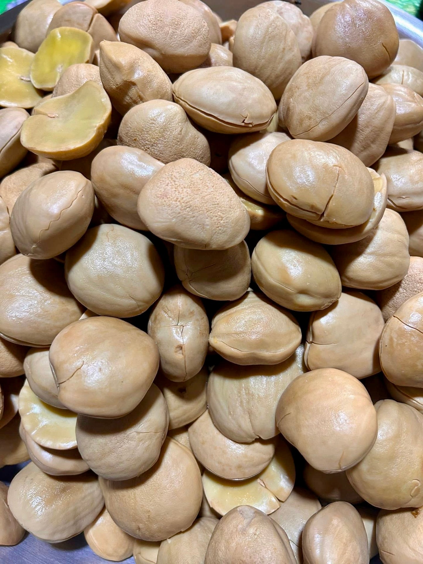 ရှယ်တညင်းသီးပြုတ် (Made in Mandalay)