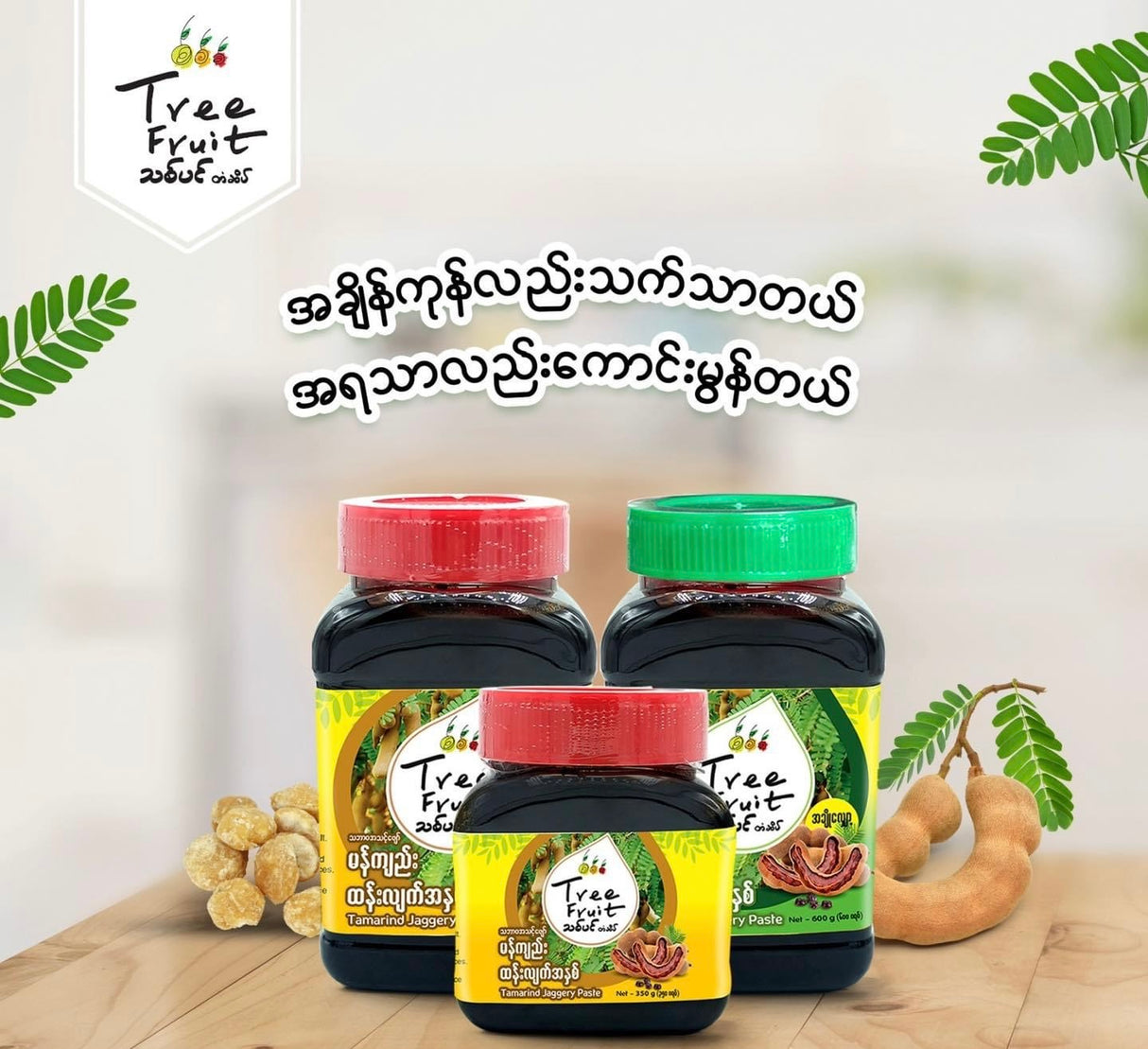 Tree Fruit မန်ကျည်းထန်းလျက်အနှစ် (အချိုလျော့)