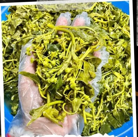 ခွေးတောက်ရွက်နုချဉ် (H&H)