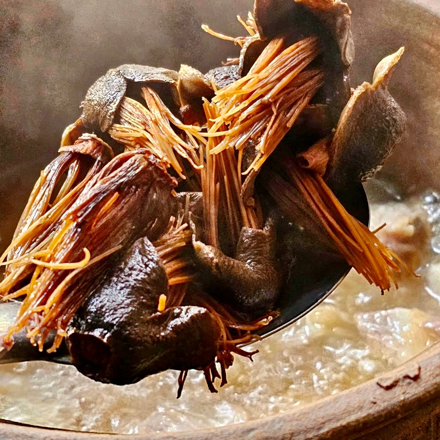 လက်ပံခေါင်းခြောက်