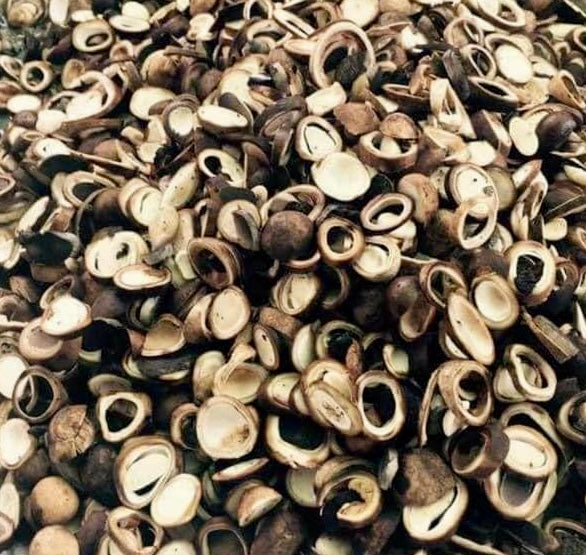 MDY ရှယ်အင်ဥကြော် - 240g