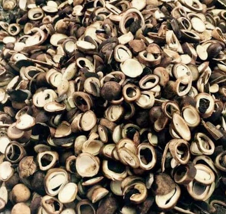 MDY ရှယ်အင်ဥကြော် - 240g