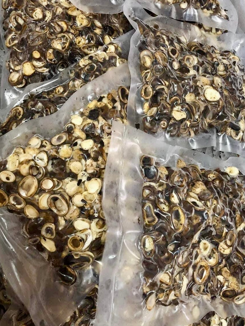 MDY ရှယ်အင်ဥကြော် - 240g