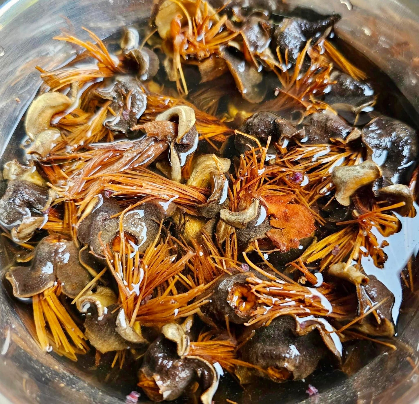 လက်ပံခေါင်းခြောက်