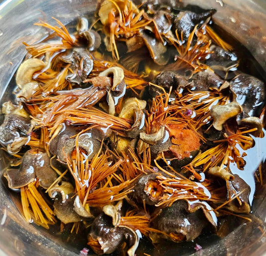 လက်ပံခေါင်းခြောက်