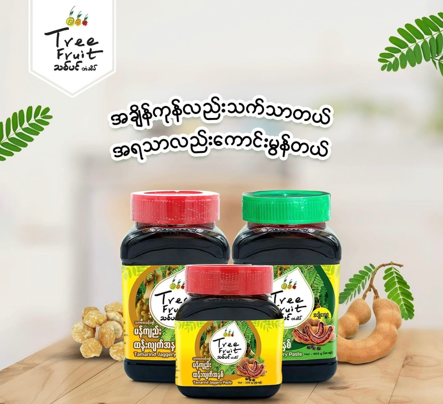 Tree Fruit မန်ကျည်းထန်းလျက်အနှစ် (ပုံမှန်)