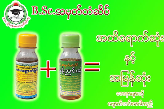 B.Sc တောရှောက်မြစ်လိမ်းဆေး